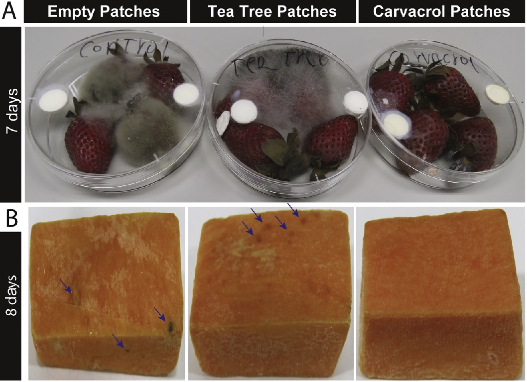 A new volatile antimicrobial agent-releasing patch for preserving fresh foods