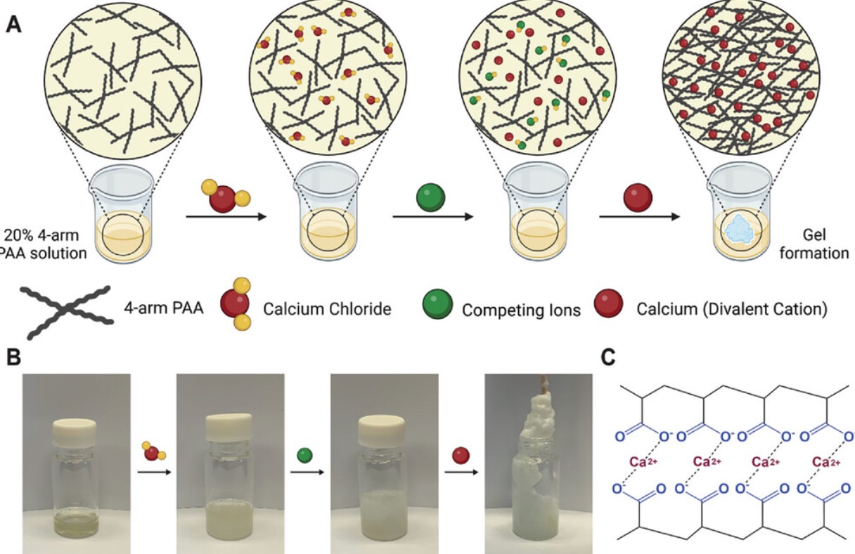 Mineral Plastics and Gels from Multi-Arm Ionomers