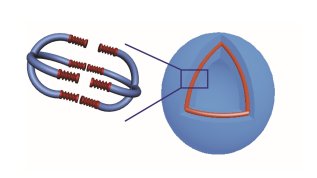 A flexible polymersome system with tunable morphology and release profiles for efficient intracellular delivery.