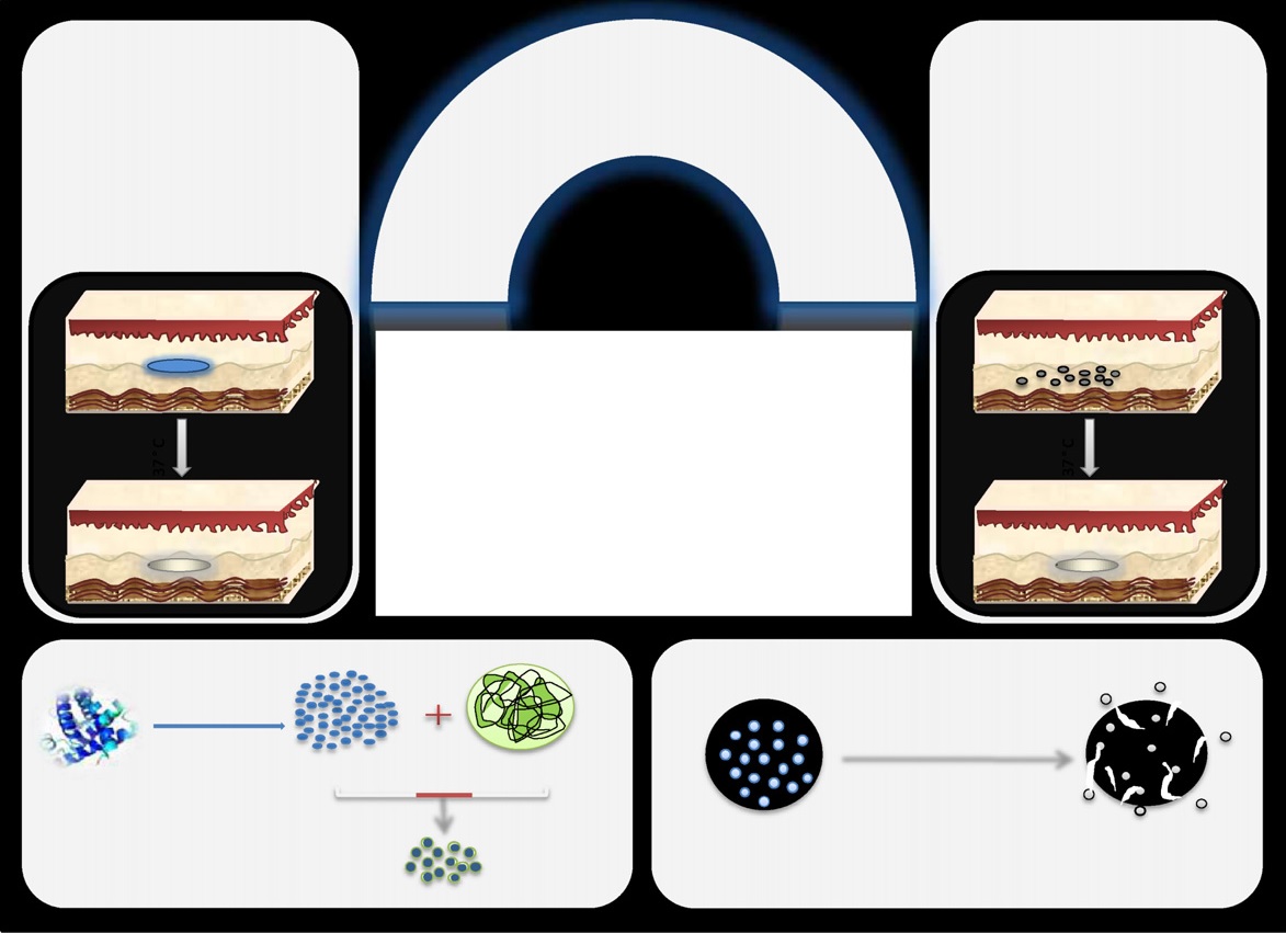 Injectable formulations of poly (lactic acid) and its copolymers in clinical use.