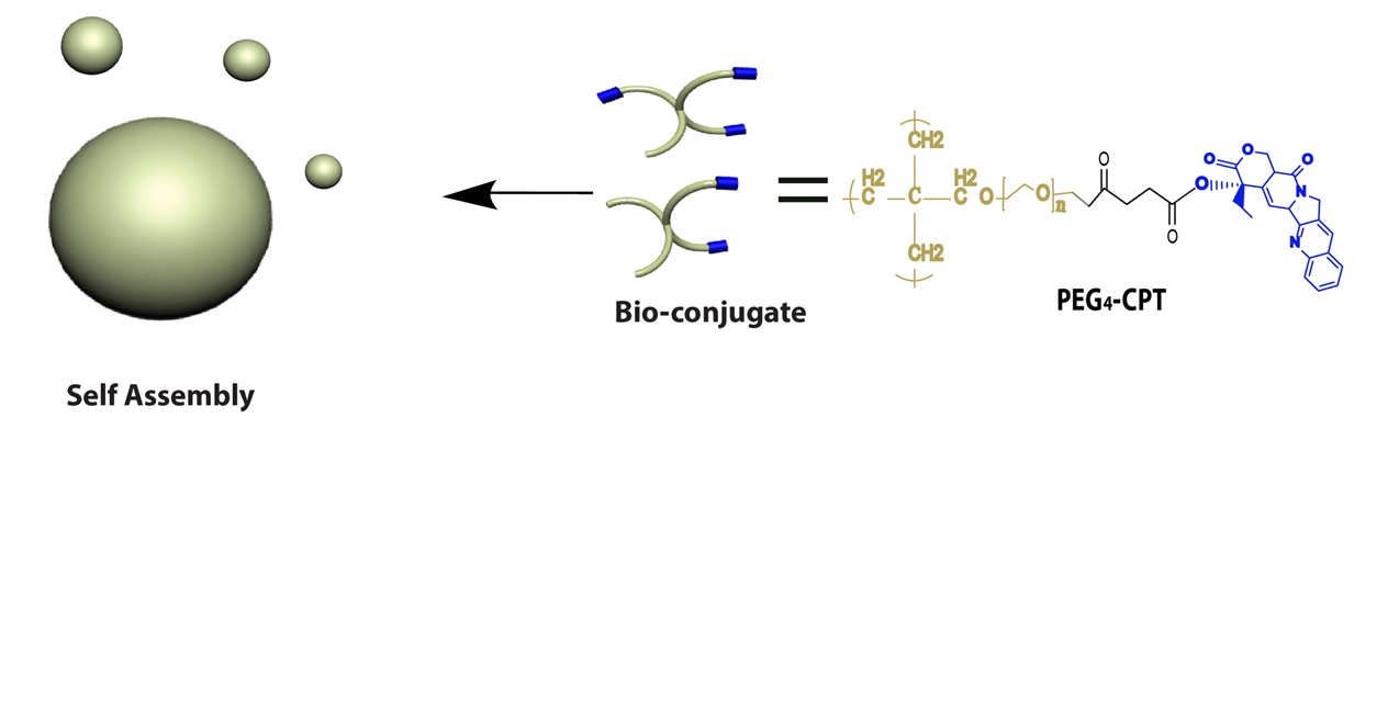 Amphiphilic star PEG-Camptothecin conjugates for intracellular targeting.