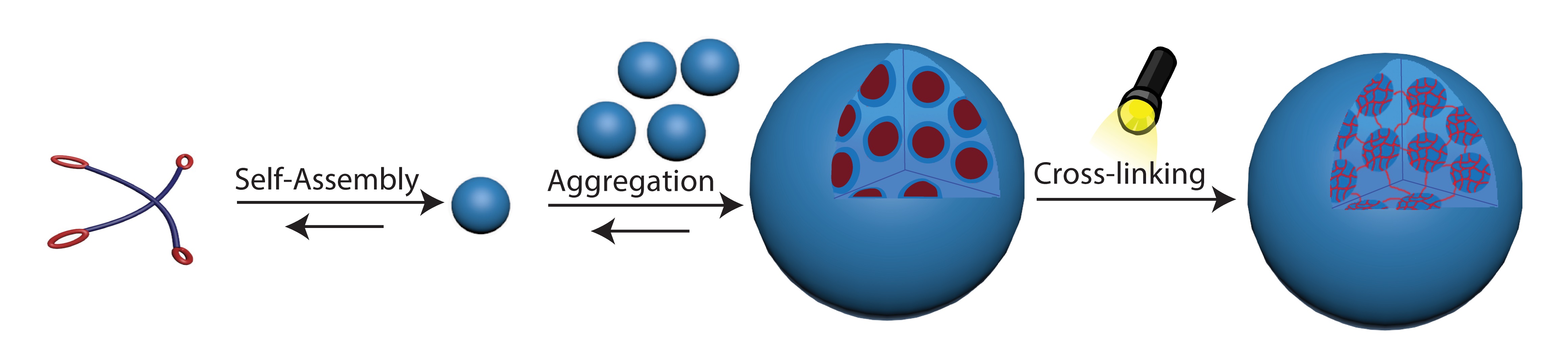 Light‐triggered stabilization of microgel aggregates