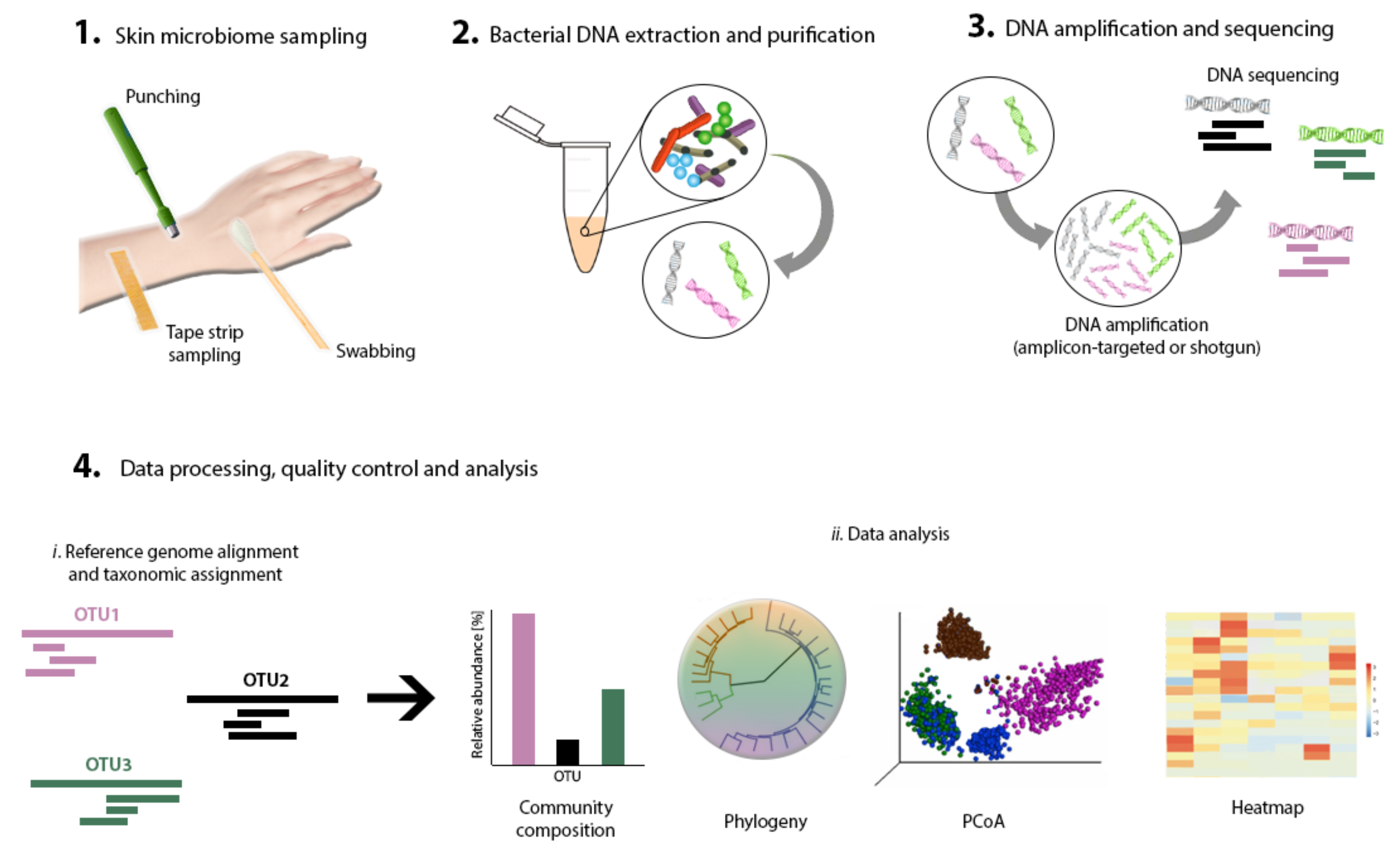 Extrinsic Factors Shaping the Skin Microbiome