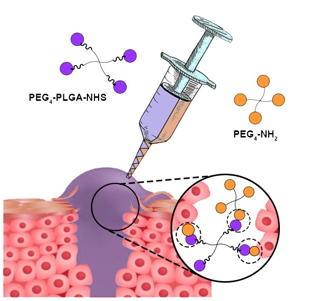 Liquid Copolymers as Biodegradable Surgical Sealant