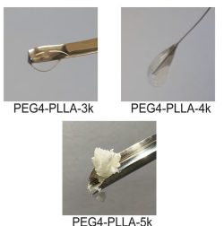 Liquid PEG4-PLLA copolymers: Effect of chirality and molecular weight on mechanical properties